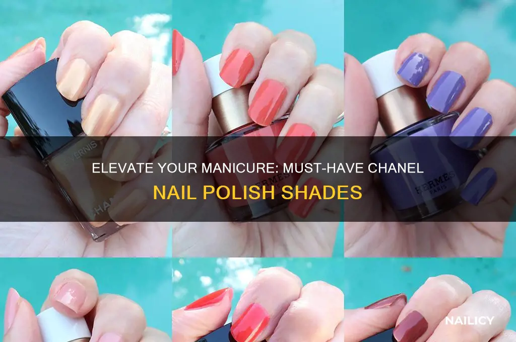 must have chanel nail polish