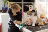 nail trim