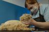 nail trim