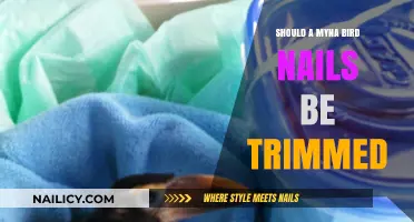 Trimming Your Myna Bird's Nails: When and Why