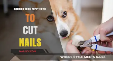 Vet Visits: Trimming Your Puppy's Nails