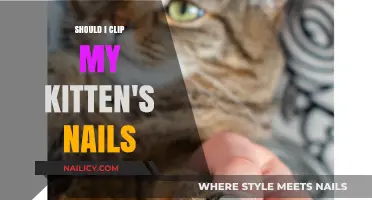 Should You Clip Your Kitten's Nails? A Gentle Guide