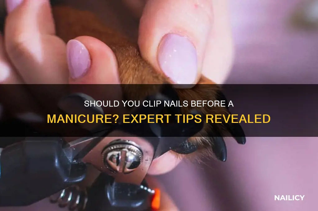 should i clip my nails before a manicure
