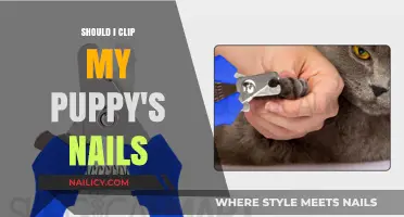 Should You Clip Your Puppy's Nails? A Complete Guide for Owners