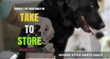 Trimming Dog Nails: DIY or Go to a Store?