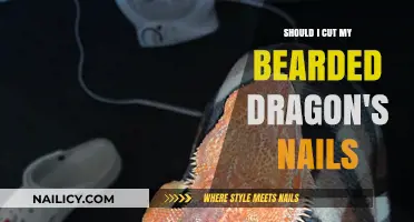 Trimming Your Bearded Dragon's Nails: When and Why