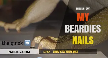 Trimming Your Beardy's Nails: When and Why?
