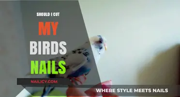 Trimming Your Bird's Nails: When and Why