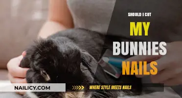 Bunny Nail Care: When and How to Trim