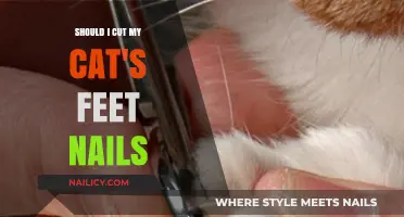 Trimming Your Cat's Nails: When and Why You Should