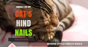 Trimming Your Cat's Nails: Hind Paws Need Care Too
