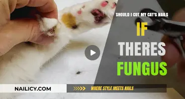 Cat Nail Trimming: Fungus or Not?