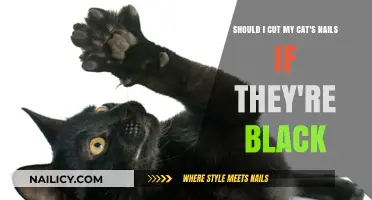 Trimming Black Cat Nails: To Cut or Not?