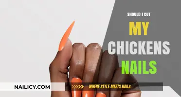 Trimming Chicken Nails: When and How?