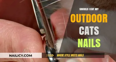 Outdoor Cats and Nail Trimming: When and Why
