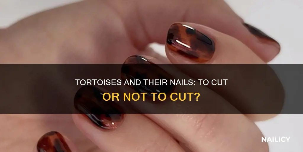 should i cut my tortoises nails
