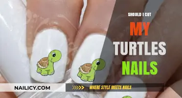Turtle Claw Concerns: To Cut or Not to Cut?