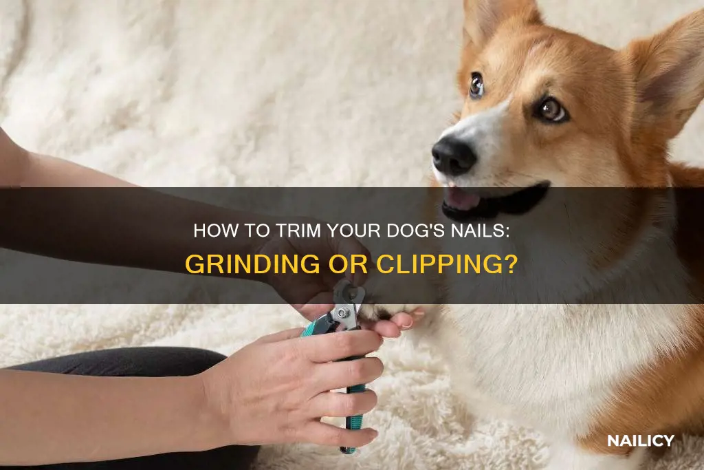 should i cut or a grind my dog