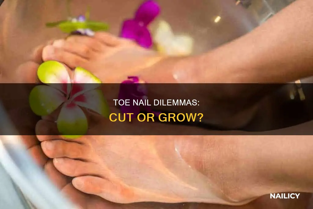 should i cut or let my toe nail grow