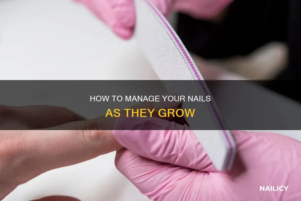 should i file my nail down as it grows back