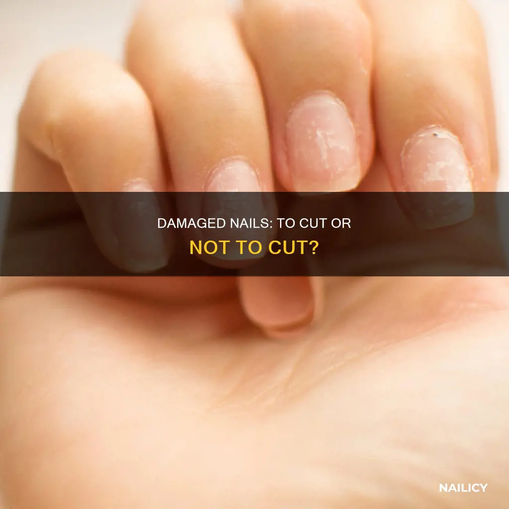 should i just cut my damaged nails
