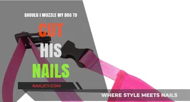 Muzzle or Not: Safe Dog Nail Trimming