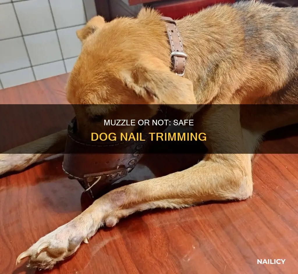 should i muzzle my dog to cut his nails