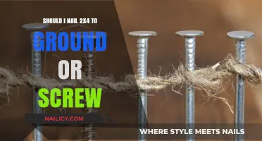 Nailing vs. Screwing 2x4 to Ground: Which Method Lasts Longer?