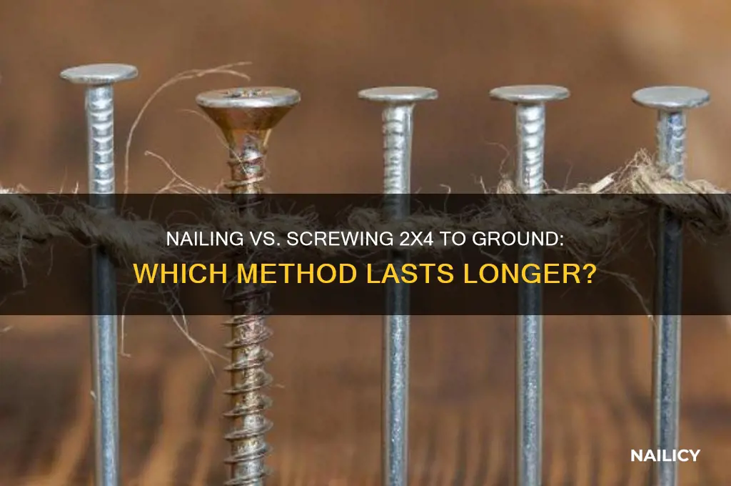 should i nail 2x4 to ground or screw