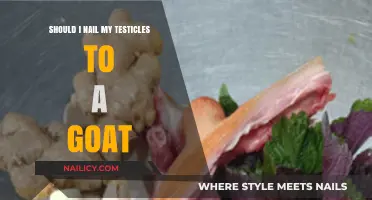 Nailing Testicles to a Goat: A Bizarre Myth Debunked