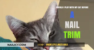 Playing with Your Cat: Pre-Nail Trim Routine