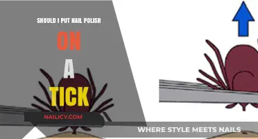 Should You Use Nail Polish on a Tick? Facts and Risks
