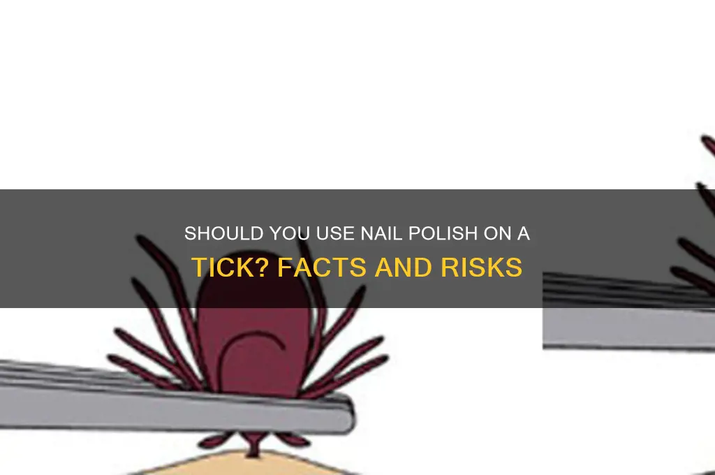 should i put nail polish on a tick