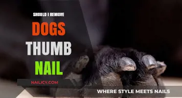 Trimming Dog Nails: Should You Trim Their Thumb Nails?