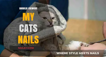 Cat Claw Conundrum: To Trim or Not to Trim?