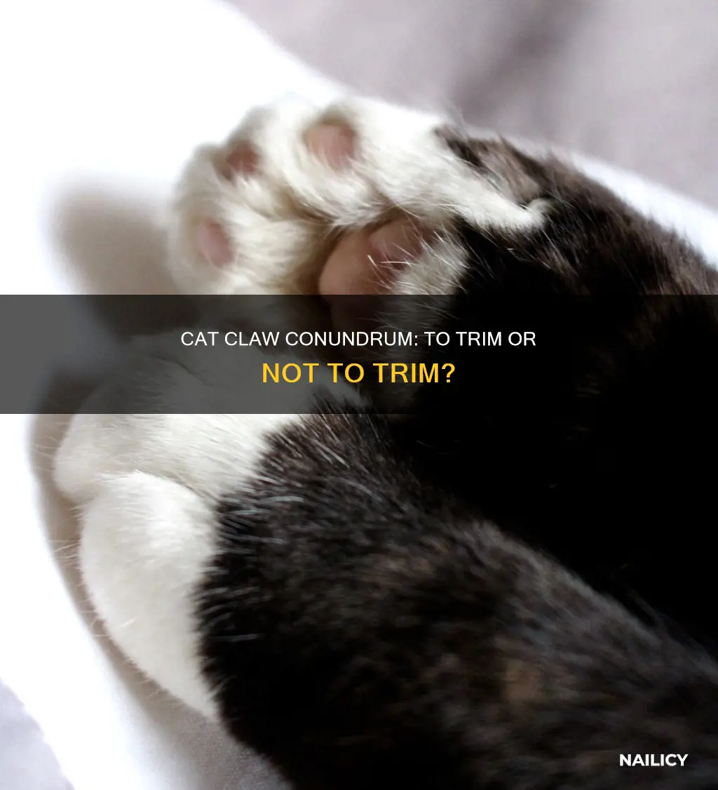 should i remove my cats nails