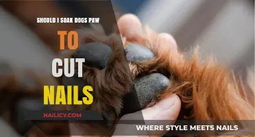 Soaking Paws Before Trimming: A Good Idea?