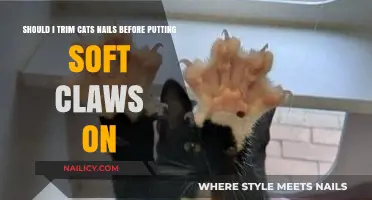Trimming Cat Nails: A Pre-requisite for Soft Claws?