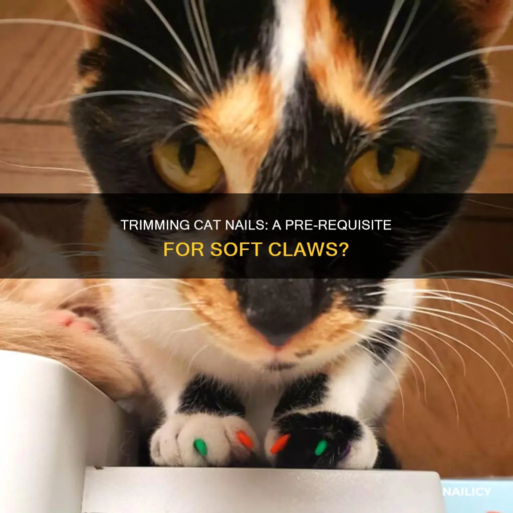 should i trim cats nails before putting soft claws on
