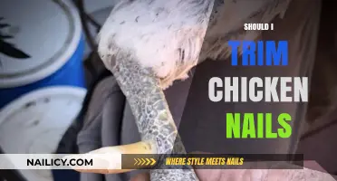 Trimming Chicken Nails: When and How to Do It Right