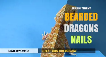 Trimming Your Bearded Dragon's Nails: When and How to Do It
