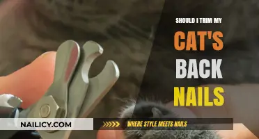 Trimming Your Cat's Back Nails: What You Need to Know