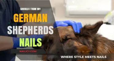German Shepherd Nail Trimming: How Often and Why It's Important