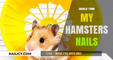 Trimming Your Hamster's Nails: When and Why You Should Do It