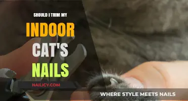 Trimming Your Indoor Cat's Nails: Necessary or Not?