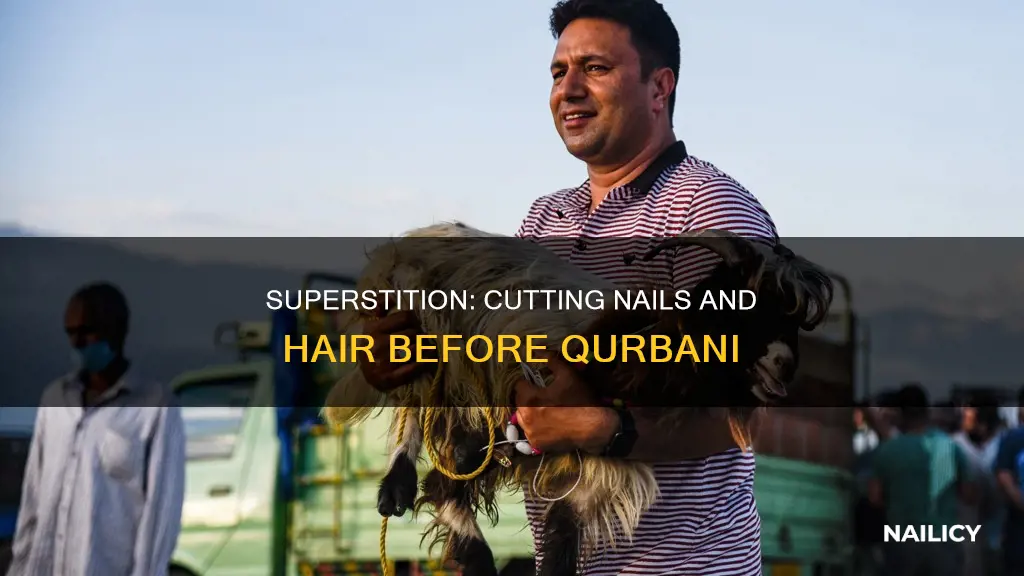 should not cut nails and hair before qurbani