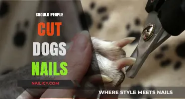 Trimming Dog Nails: How Short is Too Short?