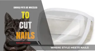 Muzzles and Manicures: The Pet Nail Conundrum