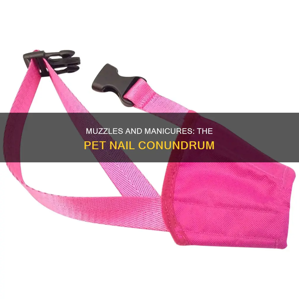 should pets be muzzled to cut nails