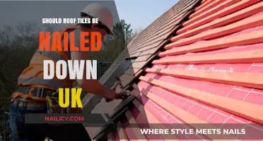 Should Roof Tiles Be Nailed Down in the UK? Expert Advice
